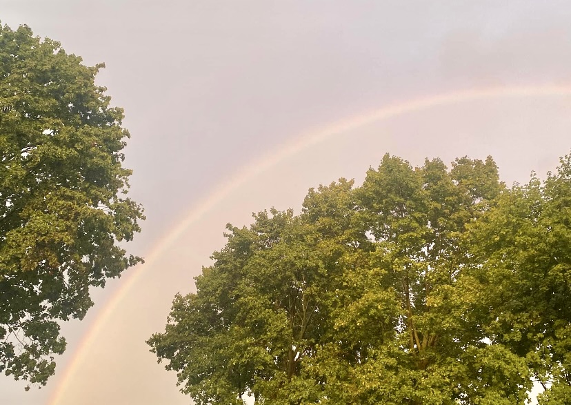 Picture of a rainbow between two trees